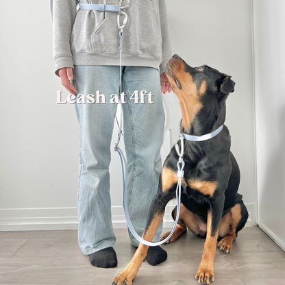 Two-Piece Hands Free Leash | Body Strap + Leash Set