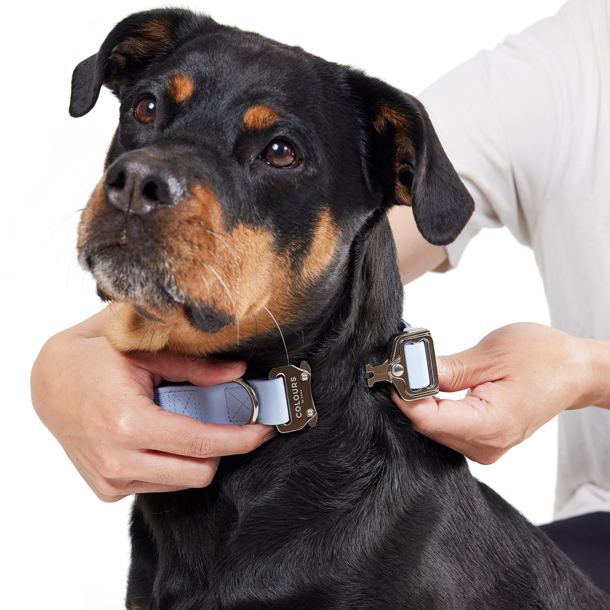 Quick Release Collar