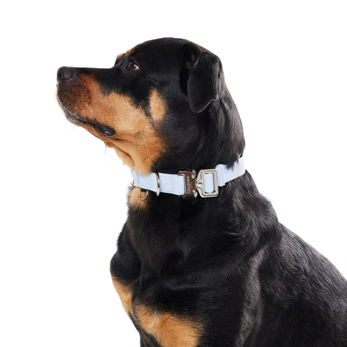 Quick Release Collar