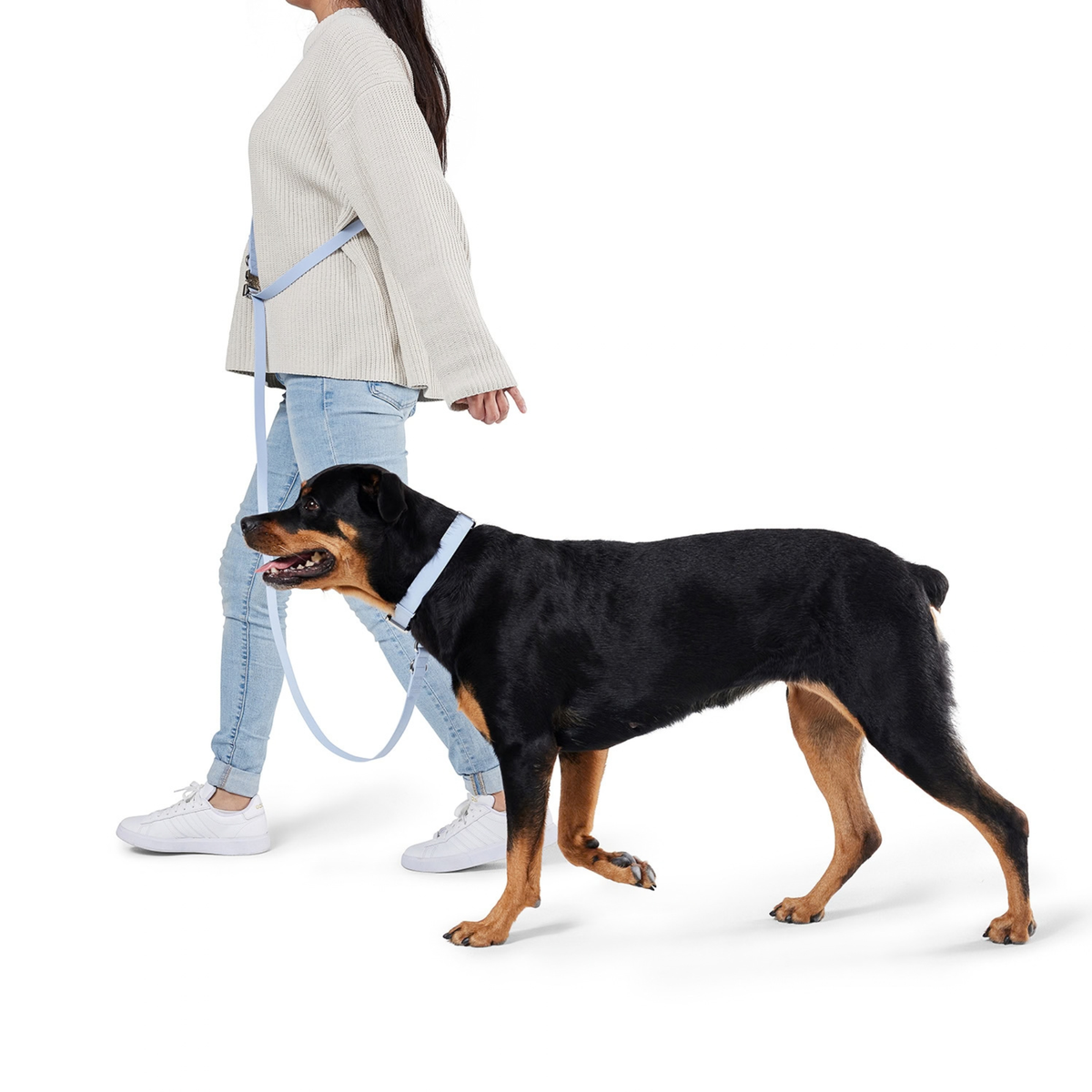 Multi Use Hands Free Leash