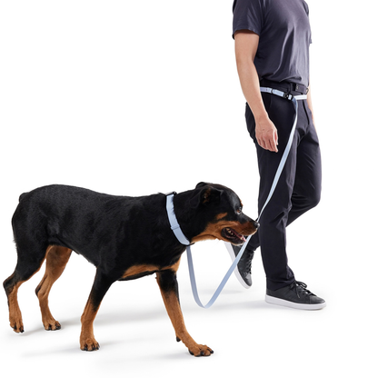 Multi Use Hands Free Leash