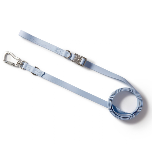 Multi Use Hands Free Leash