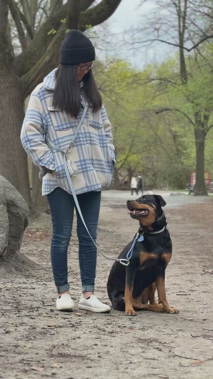Cloud Multi Use Hands Free Leash
