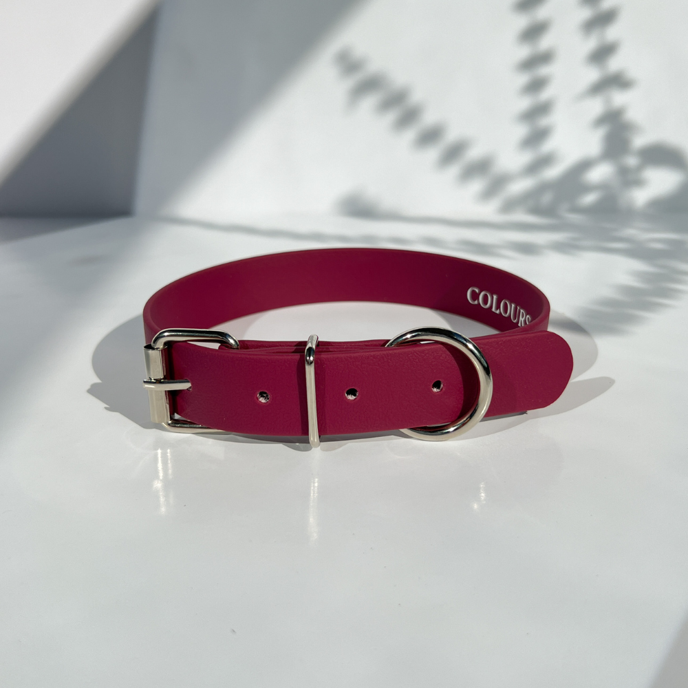 Burgundy Dog Collar