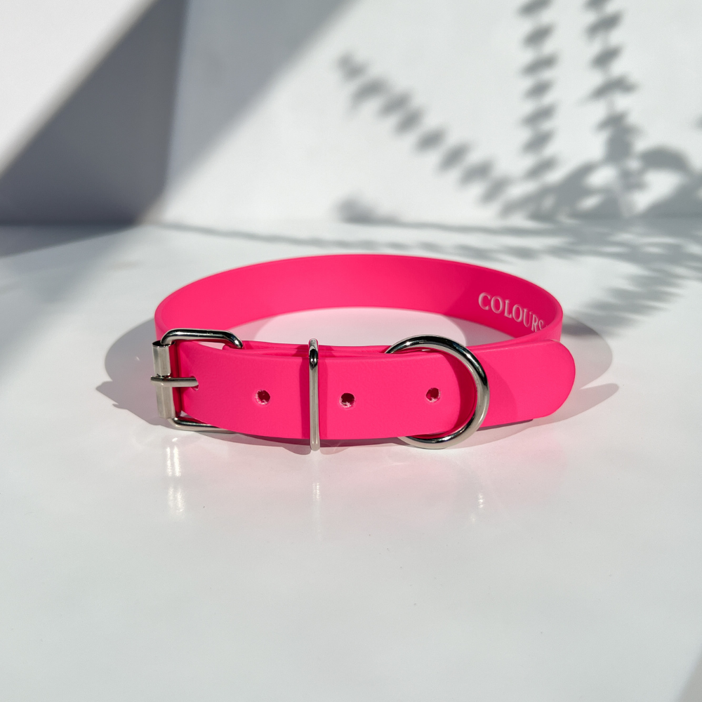 Dragon Fruit Pink Dog Collar