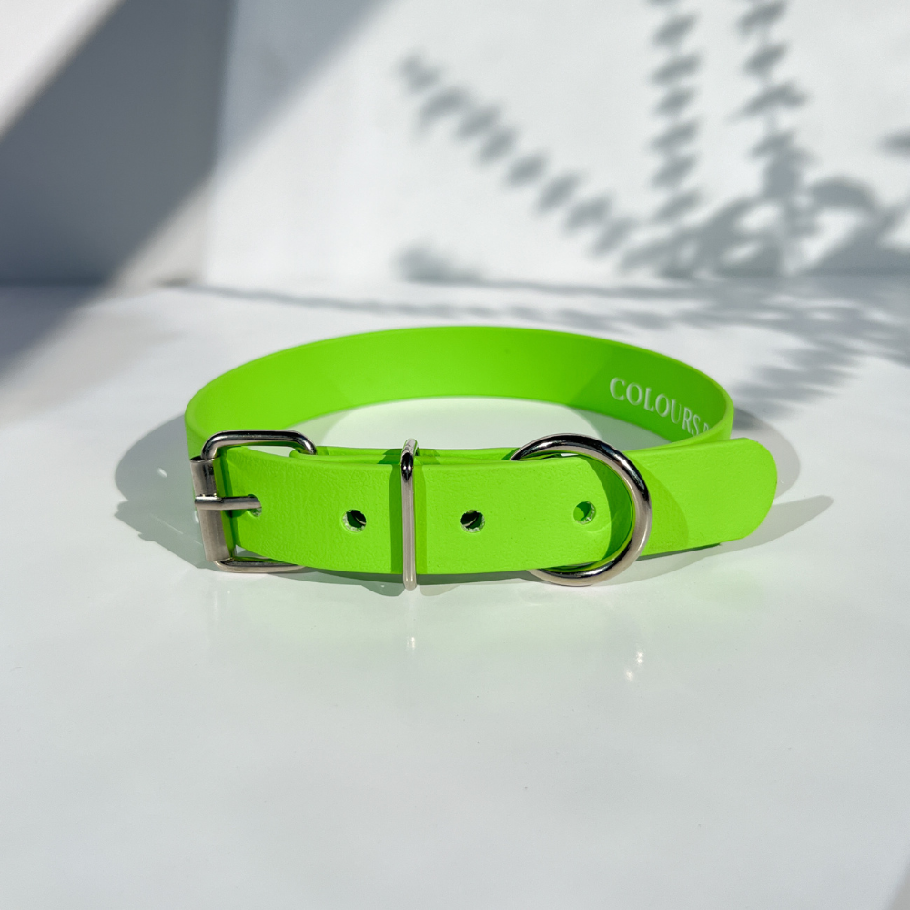 Neon Green Dog Collar