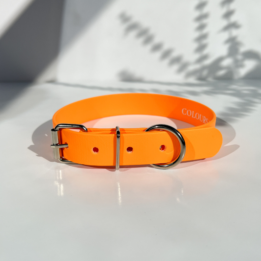 Neon Orange Dog Collar