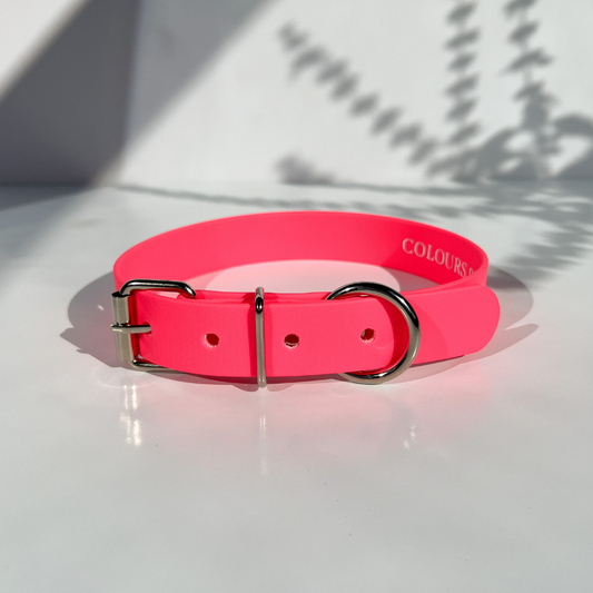 Neon Pink Dog Collar