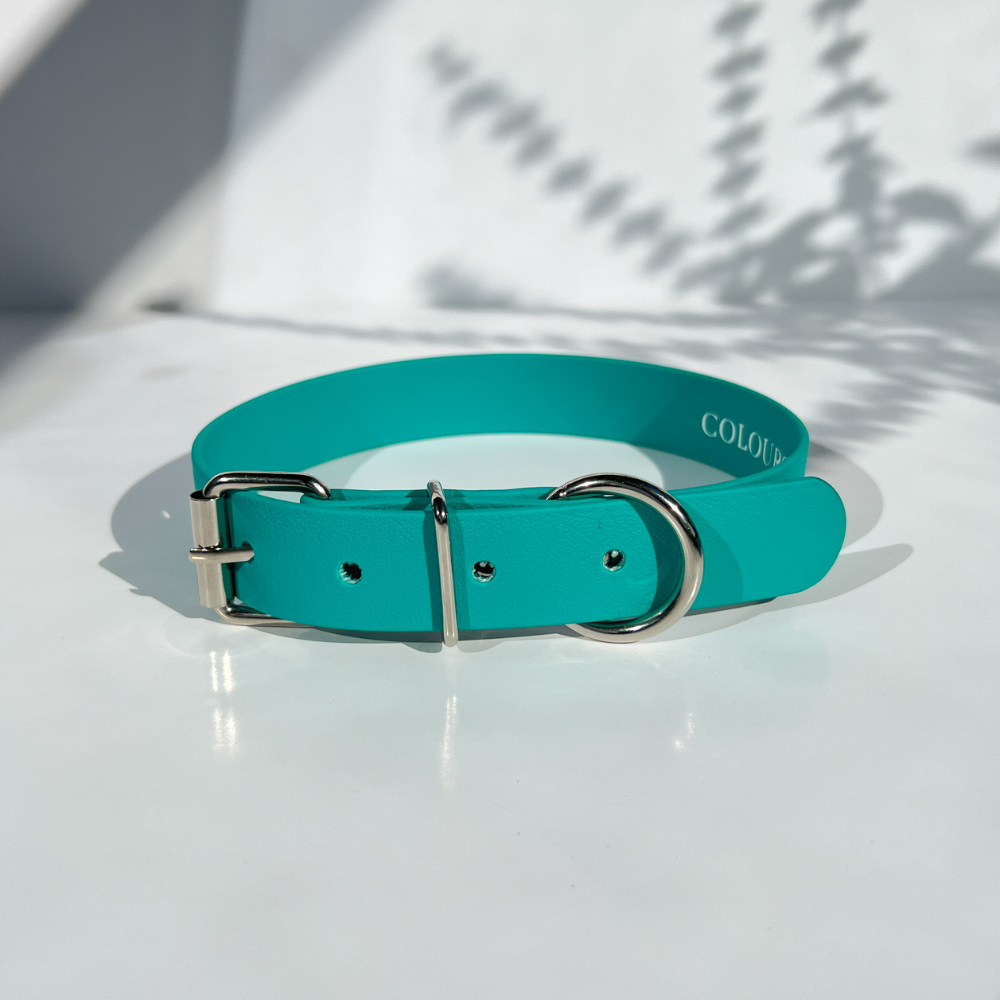 Teal Dog Collar