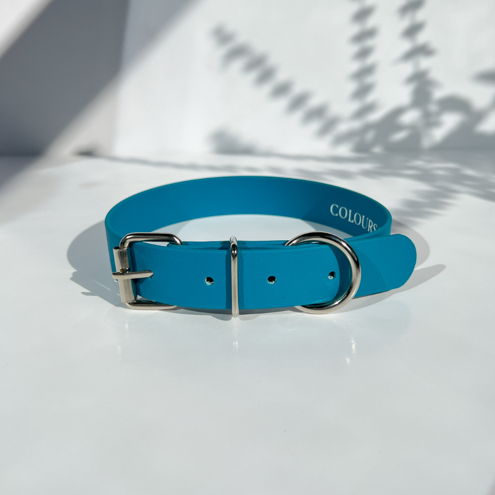 Turquoise Blue Dog Collar