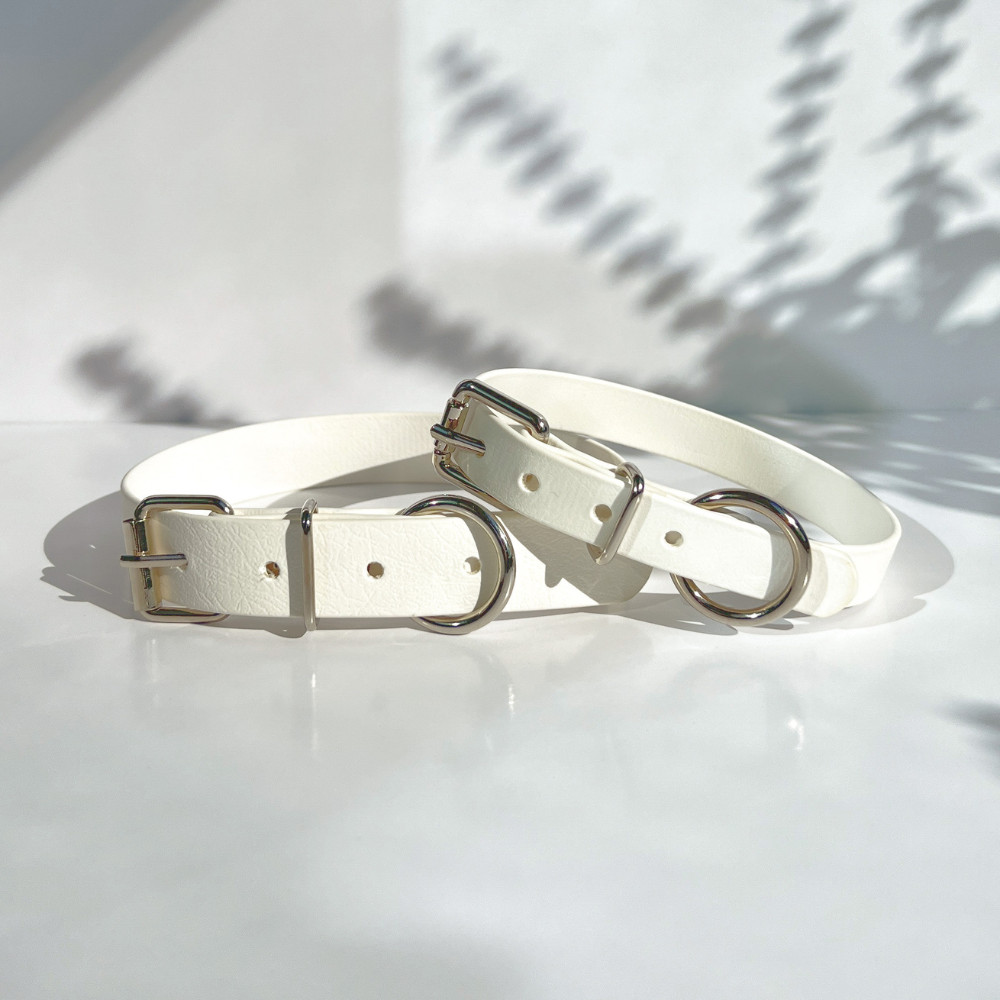 White Dog Collars in 1 inch and 3/4 inch widths