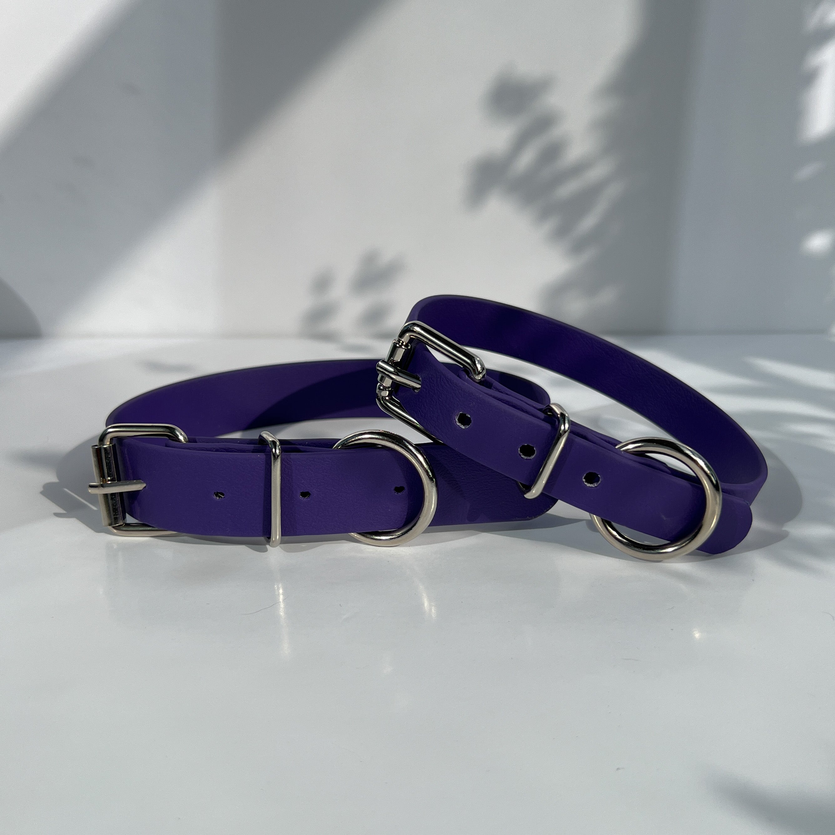 Purple Original Collar